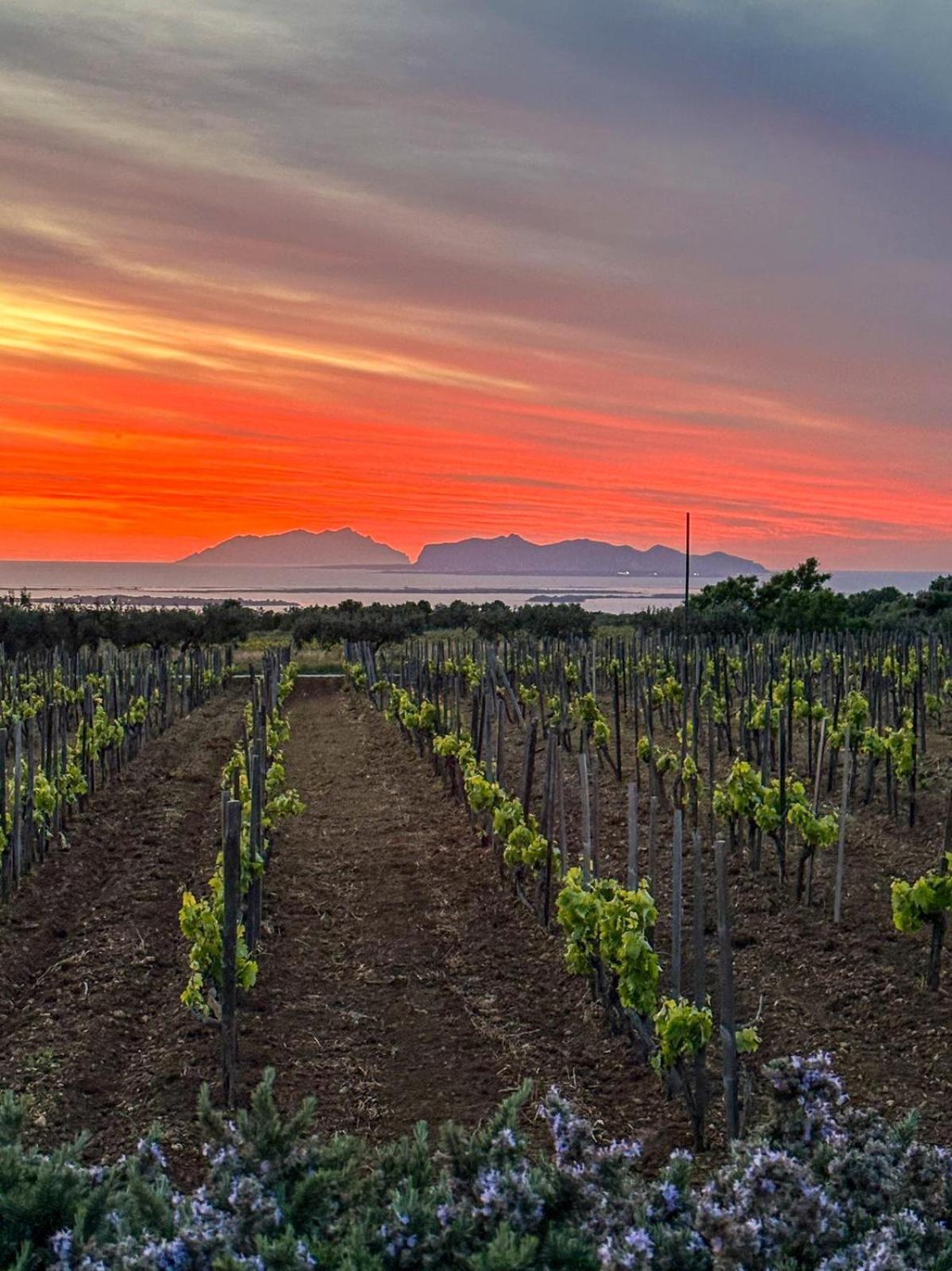 Agriturismo Baglio Donnafranca Wine Resort Marsala Exterior foto